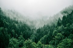 Identificirovany ukazyvajushhie na sushhestvovanie inoplanetjan gazy 906a85f.jpg