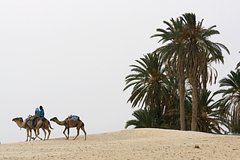 Javlenie el nino perejdet v nejtralnuju fazu d03103e.jpg
