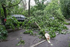 Sinoptiki ocenili razgul edgara po moskve cf10b67.jpg
