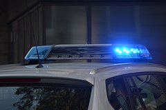 Na rossijskoj federalnoj trasse mercedes protaranil tabun loshadej e5e6b75.jpg