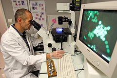Obnaruzhen ustranjajushhij simptomy bolezni parkinsona gen 16a0bb5.jpg