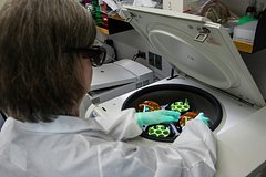 Obnaruzhena zashhishhajushhaja kishechnik molekula 804bef3.jpg