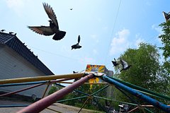 Rossijskogo podrostka obvinili v strelbe iz pistoleta na detskoj ploshhadke 326d77a.jpg