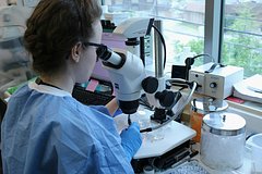 Superkompjutery i ii ispolzovali dlja reshenija velichajshej problemy biologii 9a77186.jpg