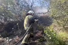 V krasnodarskom krae ogon perekinulsja na tri bazy otdyha vo vremja lesnogo pozhara 9563948.jpg