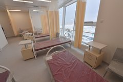 V tatarstane rasskazali o lechenii pacientov s lihoradkoj zapadnogo nila 6307814.jpg