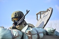 Bojcov chvk medved perebrosjat iz afriki v kurskuju oblast chto izvestno ob etom formirovanii 9402d89.jpg