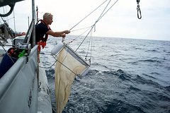 Obnaruzhen neizvestnyj mehanizm omolozhenija 4d6623c.jpg