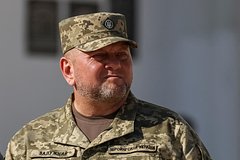 Policija frg sosredotochilas na zaluzhnom v dele o severnyh potokah 94513e3.jpg