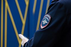 Protiv szhegshego rossijskij pasport blogera shpaka vozbudili novoe delo ce52238.jpg