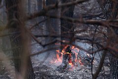 Rossijanin sluchajno spalil les na bajkale i narvalsja na shtraf v milliony rublej 2f063ee.jpg