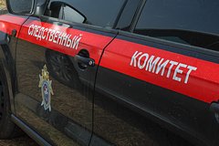 Nazvana predvaritelnaja prichina smerti treh detej v krasnojarskom krae 4c67ac6.jpg