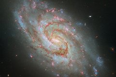 V spiralnoj galaktike sozvezdija chasov obnaruzhili zvezdnye jasli c386211.jpg