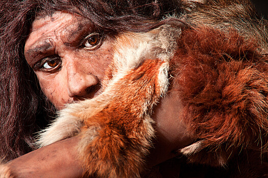 Neandertalcy i sovremennye ljudi otnosjatsja k raznym vidam vyjasnili uchenye 0c28c9c.jpg