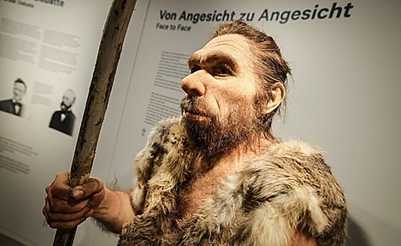 Uchenye vyjasnili kogda ljudi nachali skreshhivatsja s neandertalcami 8456bd2.jpg