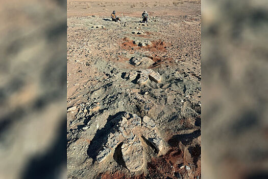 V mongolii najdeny krupnejshie sledy dvunogogo dinozavra 1793a6b.jpg