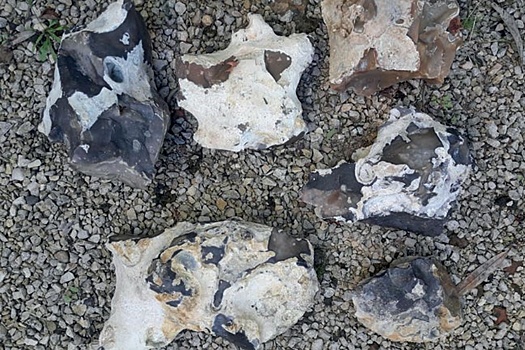 Intrigujushhee poselenie neandertalcev obnaruzheno vo francii ed65377.jpg