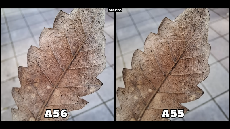 Чем отличаются камеры Samsung Galaxy A56 и A55
