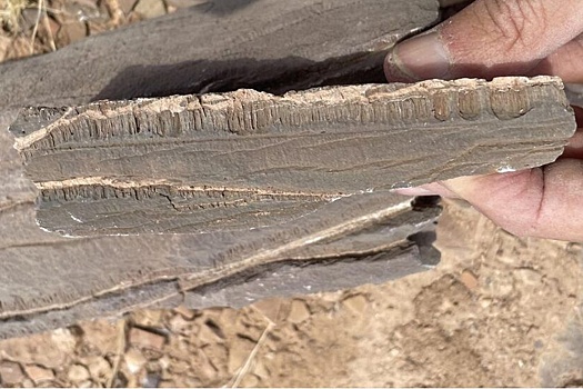 Geologi stolknulis s neizvestnoj formoj zhizni c33f611.jpg