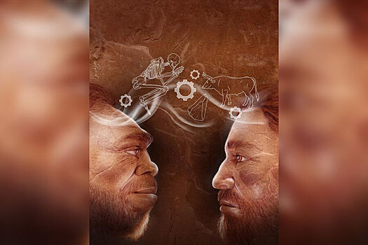 Najdeny dokazatelstva sotrudnichestva ljudej i neandertalcev a15b213.jpg