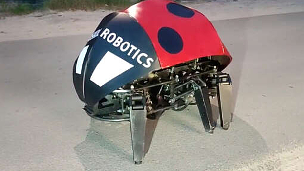 Rostovskie inzhenery sozdali boevogo zhuka robota 643e1e4.jpg