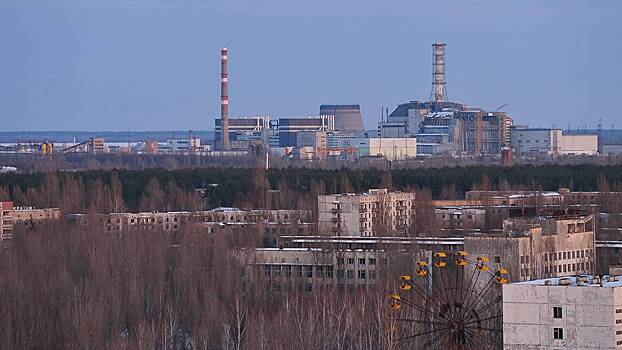 Uchenye vyjasnili kak izmenilis pticy v chernobylskoj zone otchuzhdenija a677360.jpg