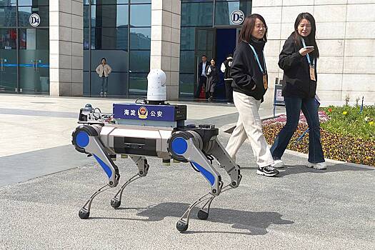 Kitaj operedil ssha v gonke robotov 05d50bb.jpg