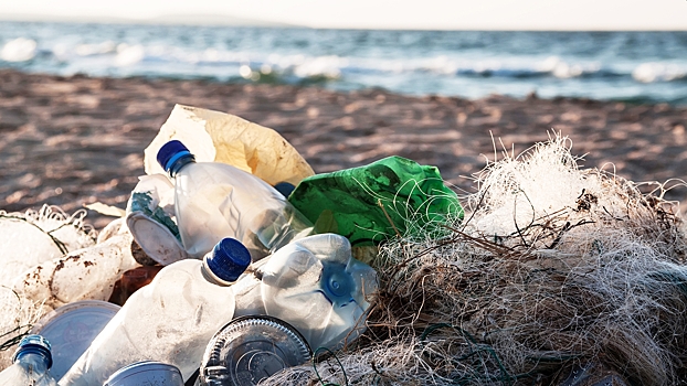 V okeane nashli griby sposobnye poedat plastik 4731103.jpg
