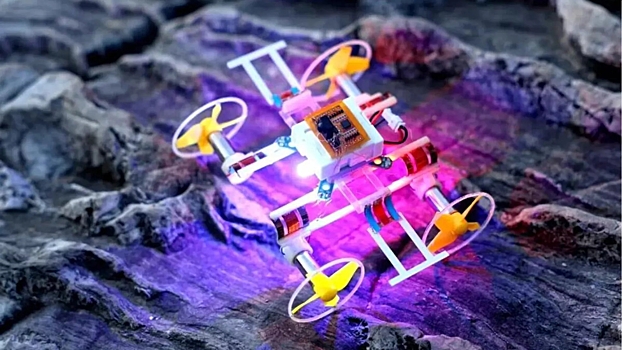 V kitae sozdali samogo malenkogo robota transformera v mire e5af3db.jpg