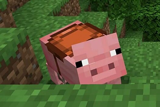V minecraft pozvoljat sozdat sedlo spustja 16 let s vyhoda igry 9baea0b.jpg