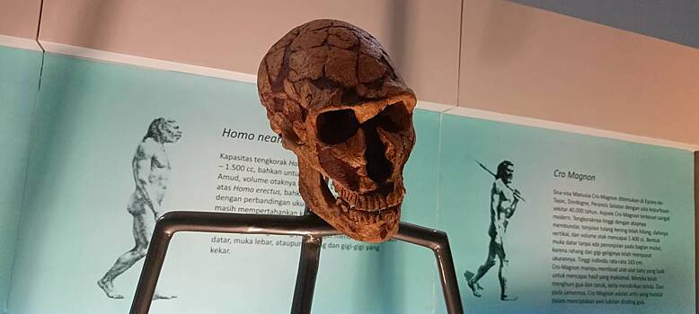 Nazvana prichina ischeznovenija neandertalcev 61425cc.jpg