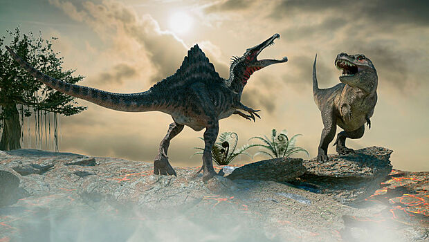 Paleontologi nashli v ssha krupnejshuju v mire tancploshhadku dinozavrov ace4cec.jpg