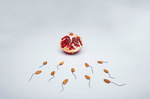 Skolko zhivut spermatozoidy vne cheloveka b2b9ea9.jpg