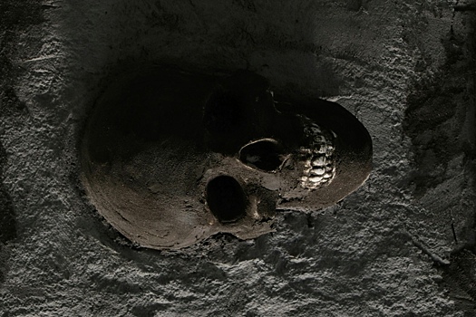 Zagadochnye skelety s neizvestnoj ranee dnk perepisali istoriju chelovechestva 9ccea93.jpg