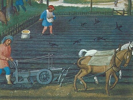 Kak srednevekovye fermery zashhishhali svoi posevy afa1b2a.jpg