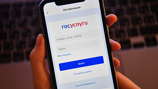 Mincifry zastavit gosuslugi rabotat dazhe pri otkljuchenii interneta a55cc7d.jpg