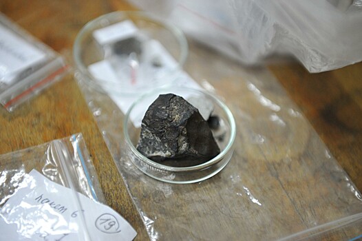 Samyj krupnyj marsianskij meteorit vystavili na prodazhu 3a2dca4.jpg
