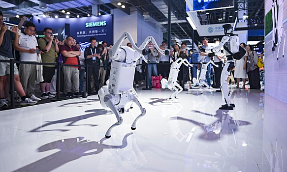 Kitaj stremitelno razvivaet industriju gumanoidnyh robotov a3f9885.jpg